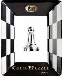 Cast Puzzle Pion Zilver- Schaakstuk - Breinbreker