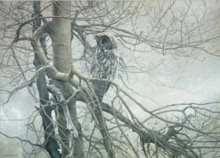 Cobble Hill Spook Van Het Noorden - Puzzel Van 1000 Stukjes