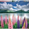 Educa Lupines Aan De Oever - Legpuzzel Van 1500 Stukjes 2 Educa Lupines Aan De Oever - Legpuzzel Van 1500 Stukjes -Puzzelwinkel educa lupines aan de oever legpuzzel van 1500 stuk