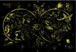 Educa Sterrenbeelden - Glow In The Dark - Puzzel 1000 Stukjes -Puzzelwinkel educa sterrenbeelden glow in the dark puzzel 1000 2