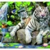 Educa Witte Bengaalse Tijgers - 1000 Stukjes 2 Educa Witte Bengaalse Tijgers - 1000 Stukjes -Puzzelwinkel educa witte bengaalse tijgers 1000 stukjes