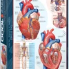 Eurographics Puzzles Het Hart - Puzzel Van 1000 Stukjes -Puzzelwinkel eurographics puzzles het hart puzzel van 1000 stuk