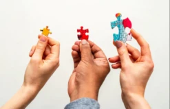 Gibsons Wilde Bloementuin - Puzzel Van 250XL Stukjes -Puzzelwinkel gibsons wilde bloementuin puzzel van 250xl stukjes 2