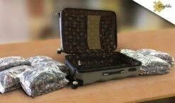 Grafika Reis Rond De Wereld - Puzzel Van 48000 Stukjes -Puzzelwinkel grafika reis rond de wereld puzzel van 48000 stukj 3