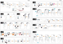 Metal Earth The Mountain - GOT - Iconx 3D Puzzel -Puzzelwinkel metal earth the mountain got iconx 3d puzzel 7