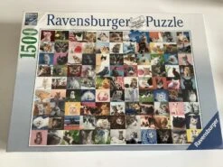 Ravensburger Licht Beschadigd - 99 Katten - Puzzel Van 1500 Stukjes -Puzzelwinkel ravensburger licht beschadigd 99 katten puzzel van 2