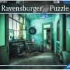 Ravensburger The Madhouse - Lost Places - 1000 Stukjes -Puzzelwinkel ravensburger the madhouse lost places 1000 stukjes