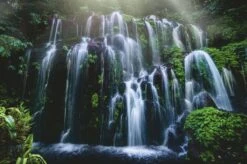 Ravensburger Waterval Op Bali - Puzzel Van 3000 Stukjes 5 Ravensburger Waterval Op Bali - Puzzel Van 3000 Stukjes -Puzzelwinkel ravensburger waterval op bali puzzel van 3000 stuk 1