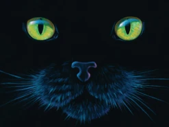 SUNSOUT De Zwarte Kat - Legpuzzel Van 1000 Stukjes