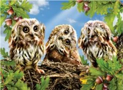 SUNSOUT Lori Schory - Hear No Speak No See No - Legpuzzel Van 300 XXL Stukjes